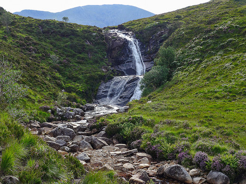 31263649192_63a052df18