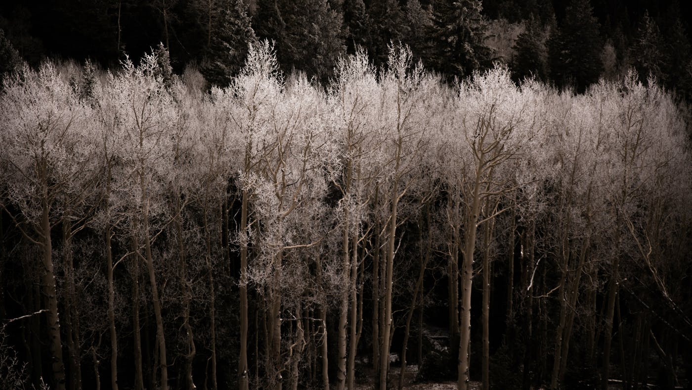 what-if-god-takes-it-all-away-kgqiuvdk-38c0759d95709390f765933e4f476563