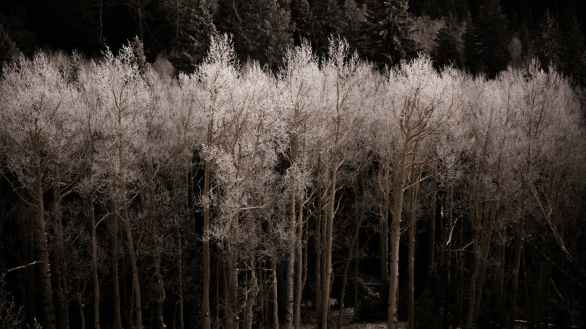 what-if-god-takes-it-all-away-kgqiuvdk-38c0759d95709390f765933e4f476563