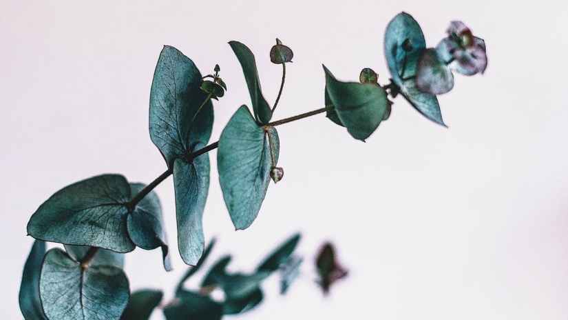 pain-will-not-speak-the-last-word-pwbdpg1t-81a36b55da290a6dd0fc75ac79398cc5