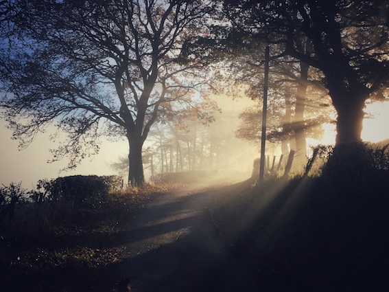 StockSnap_AVP66L6GOB