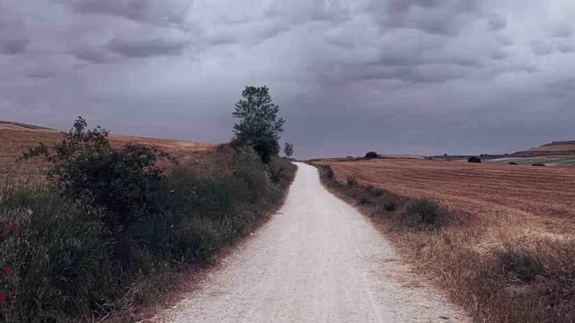 when-the-suffering-will-not-stop-w3o3vrof-d34ad4b9d614f8048bff8ac8a700016b